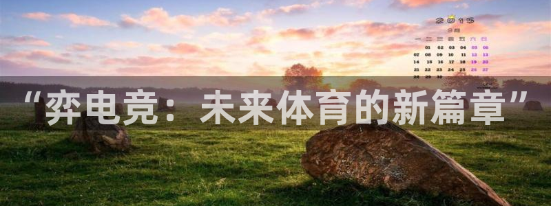 ob电竞官网