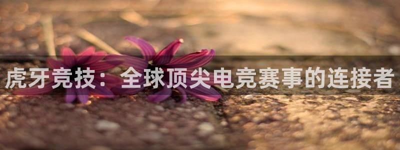 ob电竞平台：虎牙竞技：全球顶尖电竞赛事的连接者