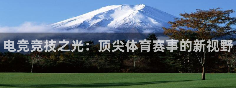 ob电竞官网入口：电竞竞技之光：顶尖体育赛事的新视野
