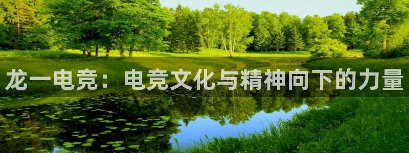 ob电竞官网：龙一电竞：电竞文化与精神向下的力量