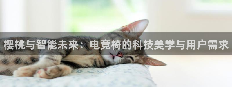 ob电竞官网：樱桃与智能未来：电竞椅的科技美学与用户需求