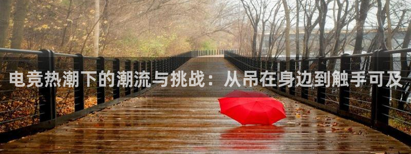 ob电竞网站：电竞热潮下的潮流与挑战：从吊在身边到触手可及