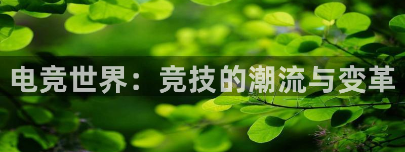 ob电竞网站